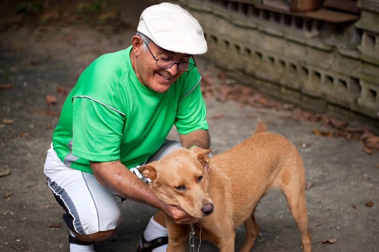 What Benefits Pets Bring to Seniors
